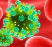 Рак в HIV-инфектирани