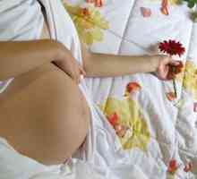 Наранявания гениталиите по време на бременността