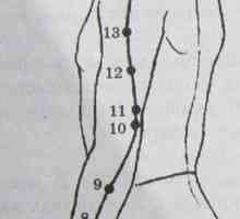 Разположение и анатомия на точки на тялото за ароматерапия. Meridian три горелки