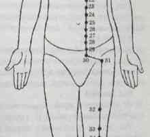 Разположение и анатомия на точки на тялото за ароматерапия. преглътнат Меридиан