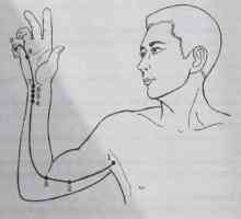 Разположение и анатомия на точки на тялото за ароматерапия. сърце Меридиан