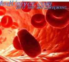 Еритроцитите. Структурата и съставът на червените кръвни клетки