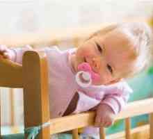 Развитието на бебето път от зигота за новородено