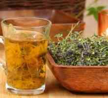 Рецепти лечение острици Вазелин масло, тиквени семки и хомеопатията