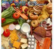 Физиологията на хранене. диета