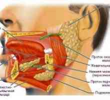 Сиалоаденит, слюнчена жлеза: лечение, симптоми, причини, класификация