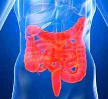 Симптомите на синдром на дразнимото черво (IBS)