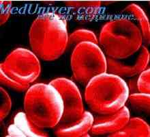 Анемия. образуването на хемоглобин