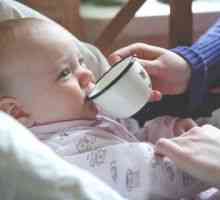 Трапезария етикет от ранна възраст. Как да научим детето на чаша?