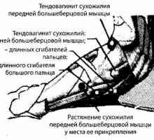 Foot, глезена и долната трета на радиация на тибията и диагностика инструмент