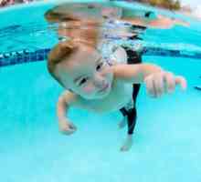 Как да се научите да плувате бебе? Много родители се опитват да учат децата си да плуват възможно…