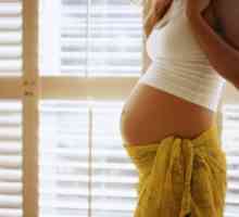 Как да се определи колко седмици на бременността. Как да се определи възрастта на бременността?…