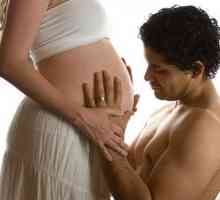 Как да се държим в бъдещия баща? Бременността е много специален период в живота на двамата съпрузи.