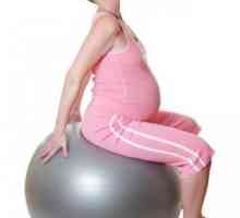 Какви упражнения не може да се направи за бременни жени. Упражнения за бременни жени в срок.…
