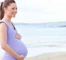 Мода за бременни жени 2013. Ние изберете дрехи за бременни и кърмещи майки