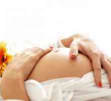 Сурогатно майчинство: плюсове и минуси. Сурогатно майчинство: за или против?