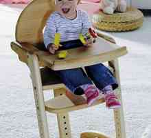 Изборът на столче за хранене на бебето. Столове за хранене видове и критерии за подбор. Изборът на…