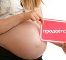 Закон за сурогатното майчинство през 2012 година. Законодателството, уреждащо използването на…
