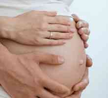 Консултации за жени на 15-ия седмица beremennosti.chto трябва да знаете, бременната жена в този…