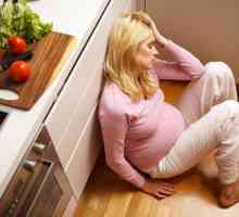 Токсокариазис по време на бременност