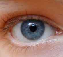 Трахомата око, лечение и симптоми