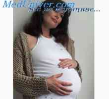 Тромбоцитопения при бременни жени. Имунна тромбоцитопенична пурпура.