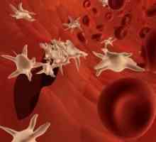 Тромбоцитите в кръвта, което означава, че скоростта на тромбоцитите