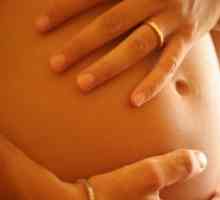 Фалопиевите бременността