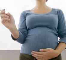 Ефектът от пушенето по време на бременност и развитието на плода на нероденото дете