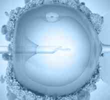 Запек след трансфер на ембриони (IVF)