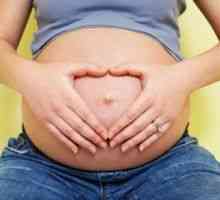 STD (полово предавани болести чрез) в бременна
