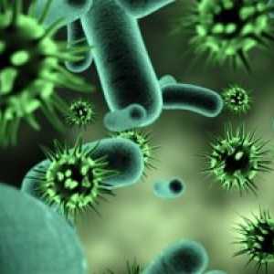 Бактериални инфекции