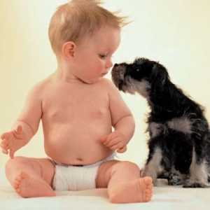 Безопасност на децата с животни