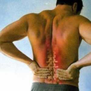 Болки в гърба с болка в областта на рамото