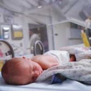 Диафрагмална херния дефект при новородени
