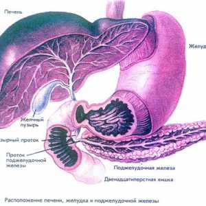 Хепатомегалия, стеатоза панкреатит и панкреаса и черния дроб