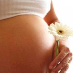 Как да се подготвим за бременност