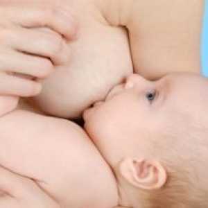 Хранене на бебето през първата година от живота