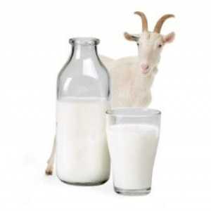 Лечение на гастрит с козе мляко