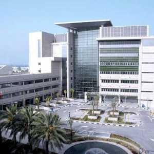 Лечение в Обединени арабски емирства американската болница в Дубай