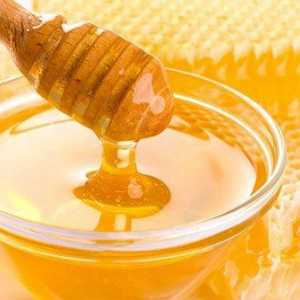 Мед за чревна дисбиоза