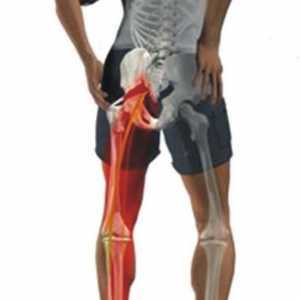 Може да навреди на опашната кост, краката и задните части с хемороиди?