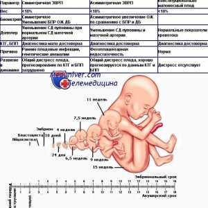 Оценката на аборта на раждането. Класификация на забавяне растежа на плода