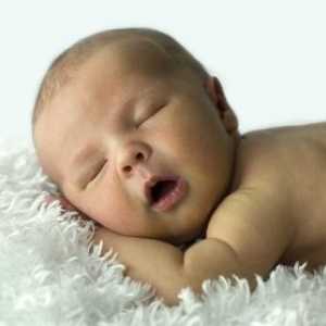 Бебе организация сън през първата година от живота