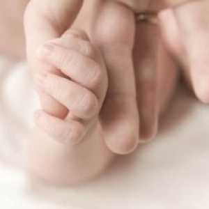 Пръстите на ръцете и краката новороденото на