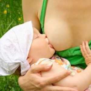 Правилното гърдата вземете новородено бебе