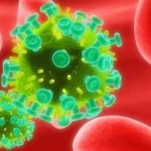 Рак в HIV-инфектирани