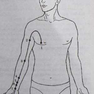 Разположение и анатомия на точки на тялото за ароматерапия. Меридиан перикарда