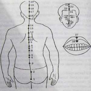 Разположение и анатомия на точки на тялото за ароматерапия. Perednesredinny Меридиан Джен-Mai