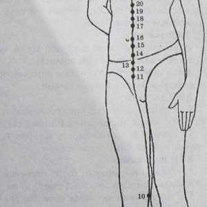 Разположение и анатомия на точки на тялото за ароматерапия. бъбрек Меридиан